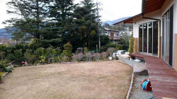 Garden. Local (January 2012) shooting