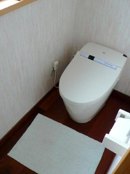 Toilet. Indoor (January 2012) shooting