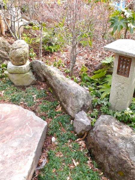 Garden. Local (January 2012) shooting