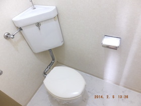 Toilet. Toilet