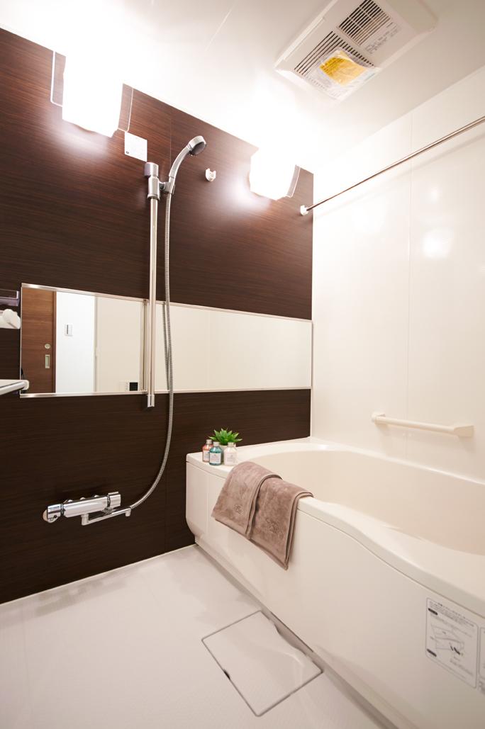 Bathroom. Interior (November 2013) Shooting