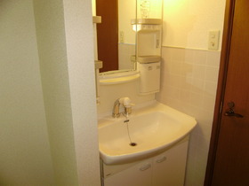 Washroom. Shampoo dresser