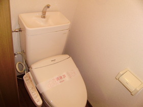 Toilet. Cleaning function with toilet seat