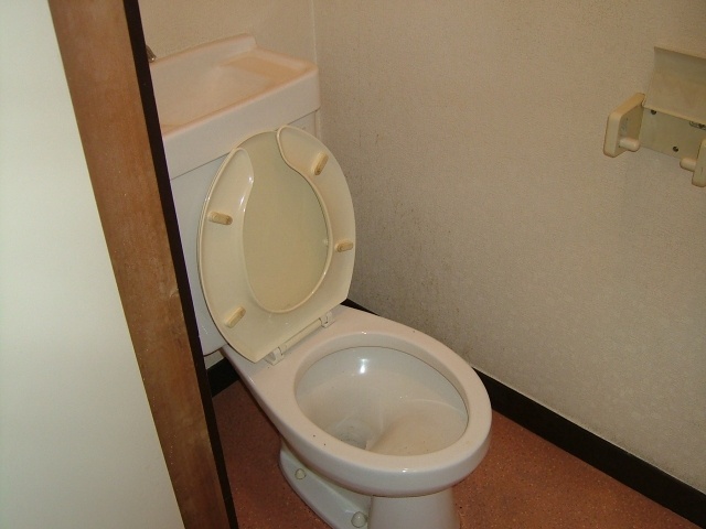 Toilet. Primrose Taguchi II