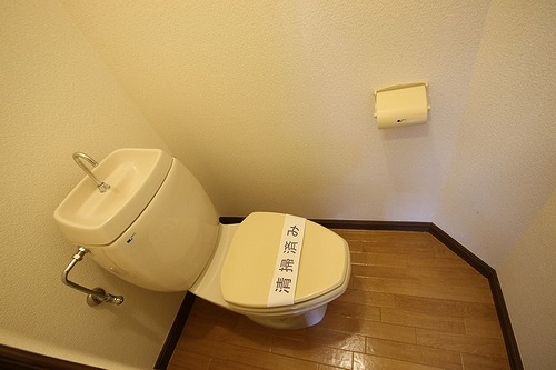 Toilet. Toilet