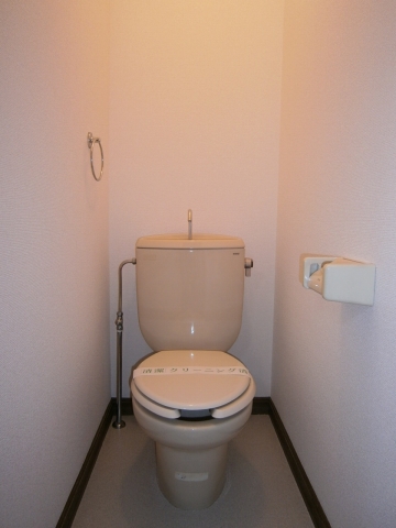 Toilet. Phoenix