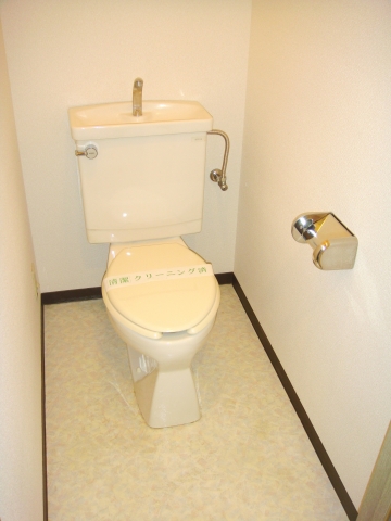 Toilet. Naruse Mansion