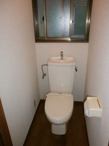 Toilet. Watanabe Ichinohe Ken houses for rent