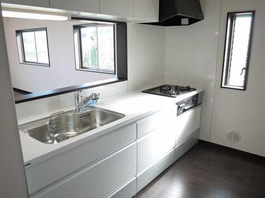 Same specifications photo (kitchen). Artificial marble counter ・ Shower switching washing with water purifier