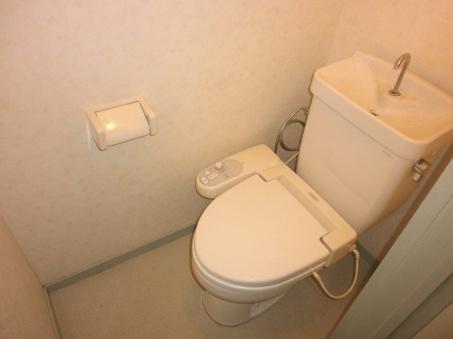 Toilet. Esuhaitsu