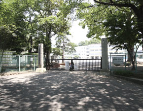 Primary school. South Mori until the elementary school 640m