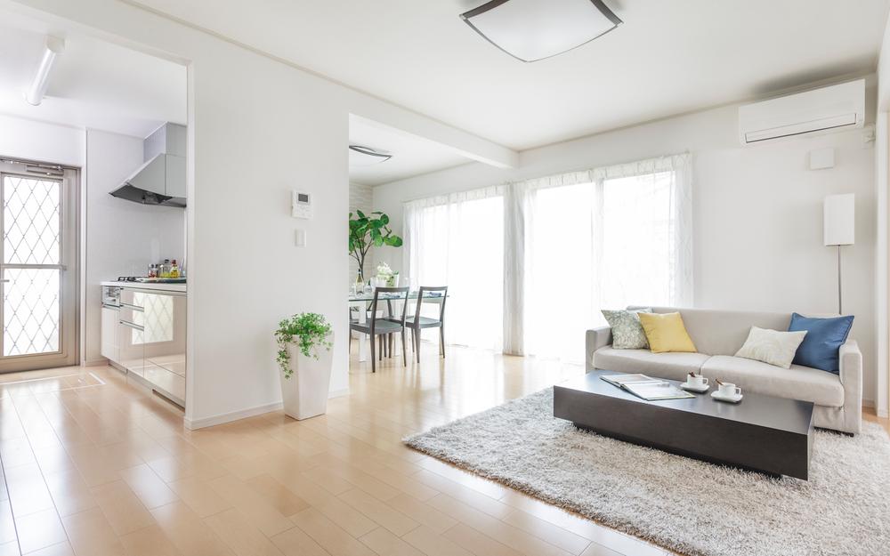 Living. Model house Comfort Avenue 52 Building (July 2013) Shooting