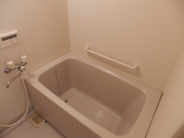 Bath. Rental apartment to be able to live with pets