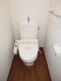 Toilet. Happy with Washlet