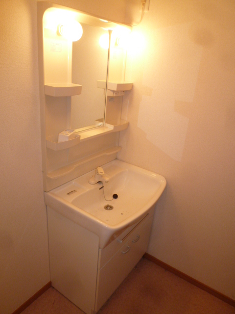 Washroom. Shampoo dresser