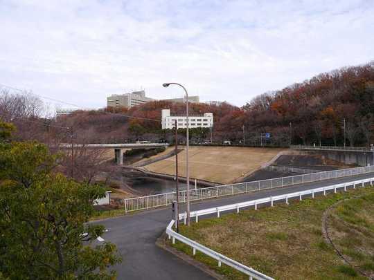 Other local. Location surrounded by green