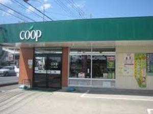 Supermarket. 1500m Coop to Cope