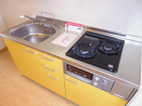 Kitchen. Two-burner gas stove grill with system Kitchen