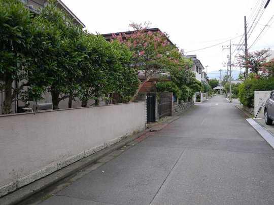Local photos, including front road
