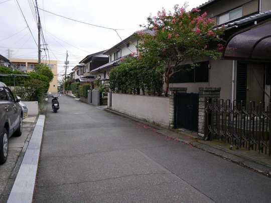 Local photos, including front road