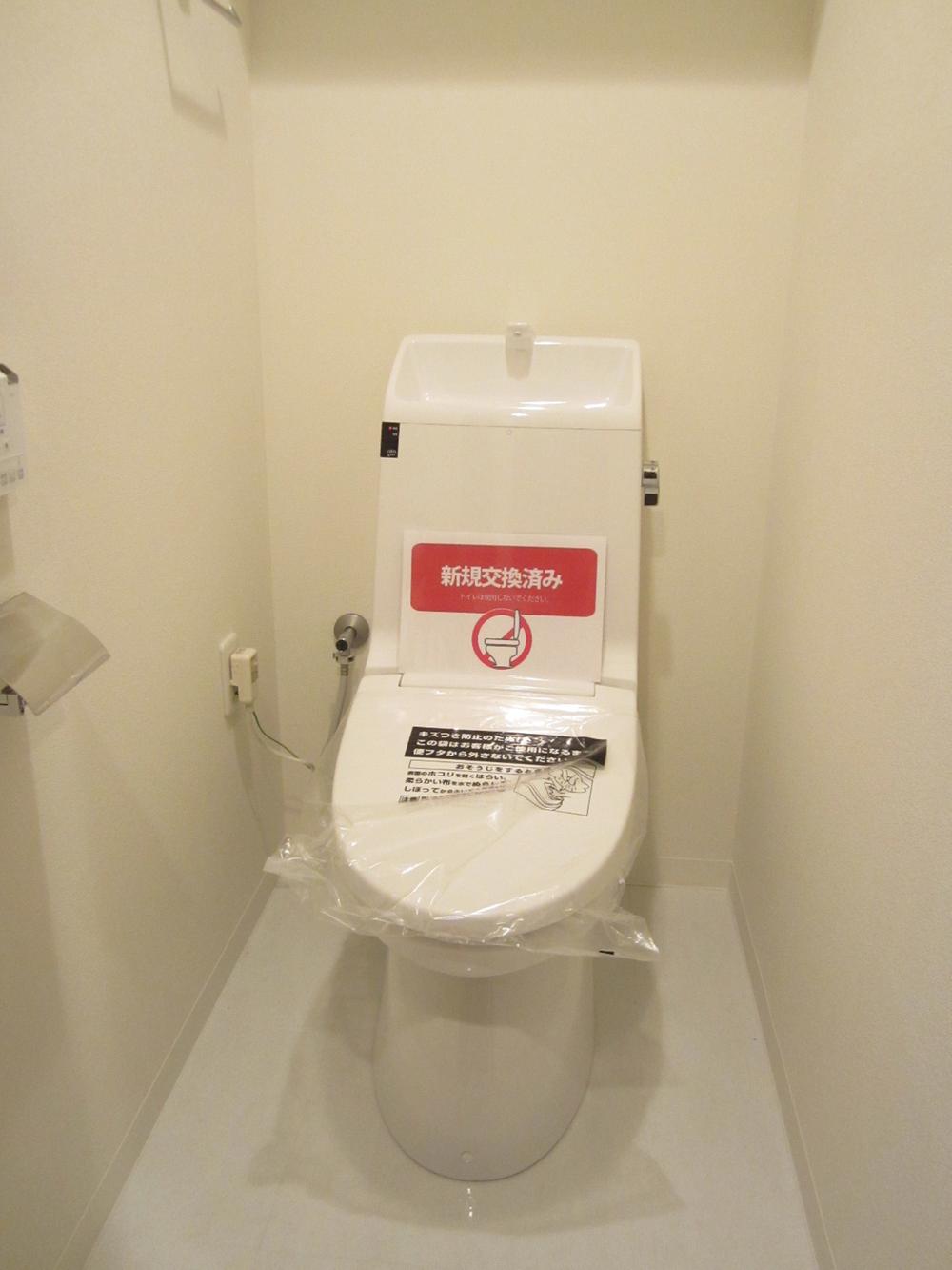 Toilet. Toilet already replaced