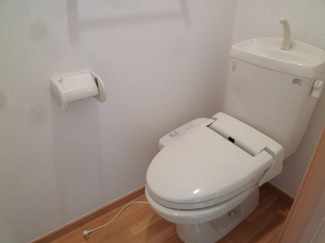 Toilet. With warm water washing toilet seat! 