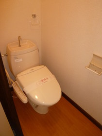 Toilet. The same type room toilet