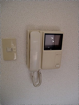 Security. Because with a monitor, Peace of mind and can check the visitor during the face!