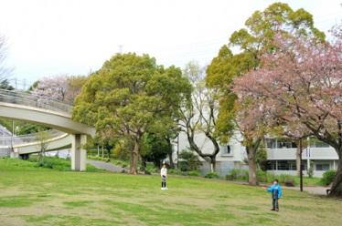 park. 500m to Shirane park