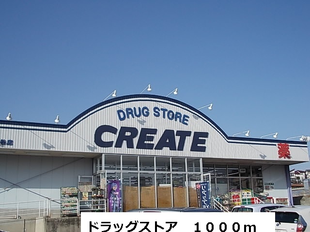 Dorakkusutoa. Drag 1000m until the store (drugstore)