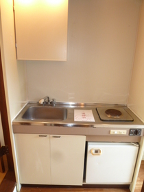 Kitchen. Kitchen (electric stove)