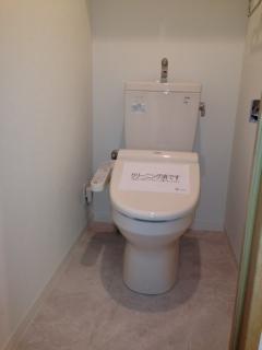 Toilet. Indoor (11 May 2013) Shooting