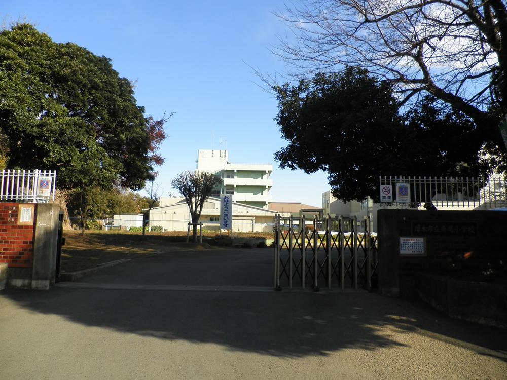 Primary school. Roof iris elementary school