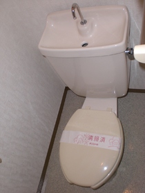 Toilet. Toilet