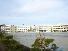 Primary school. Early Gardens 15m up to elementary school (elementary school)