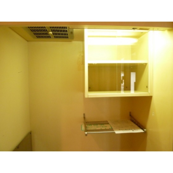 Other. The kitchen also has storage space.