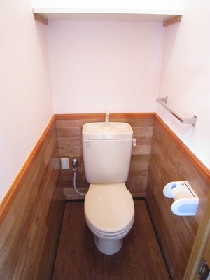 Toilet. (Current state priority)