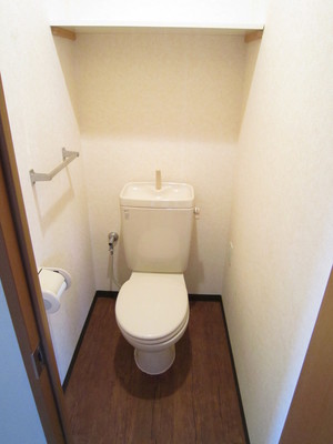 Toilet. Toilet (current state priority)