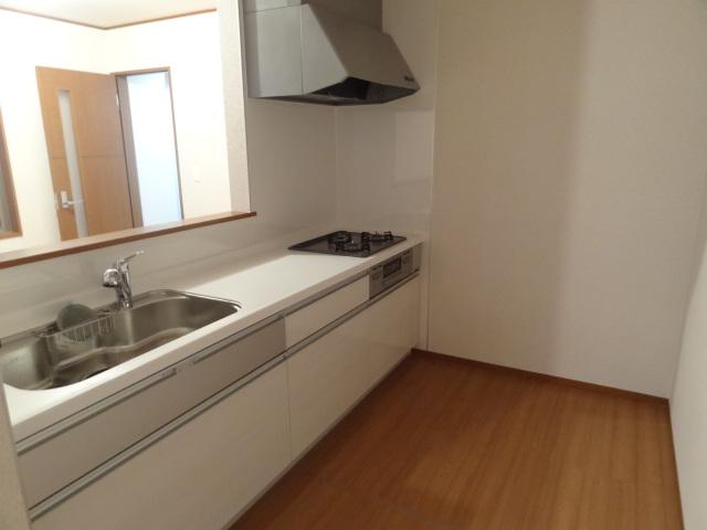 Kitchen. Introspection (November 2013) Shooting