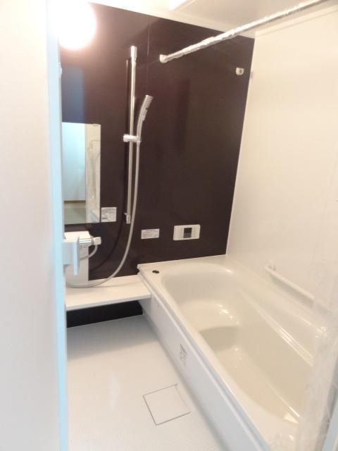 Bathroom. Introspection (November 2013) Shooting