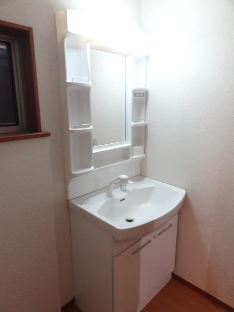 Wash basin, toilet. Introspection (November 2013) Shooting
