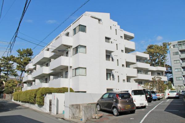 Local appearance photo. Local is the (December 2013) Shooting.