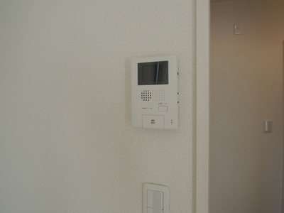 Security. Monitor with intercom