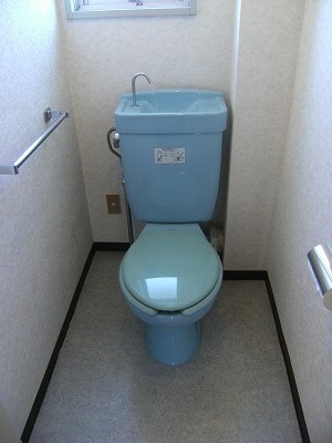 Toilet. Bright with a window! 