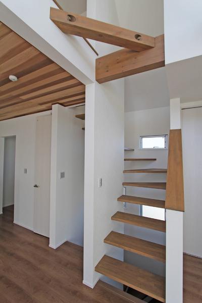 Other introspection. Local (10 May 2013) Shooting