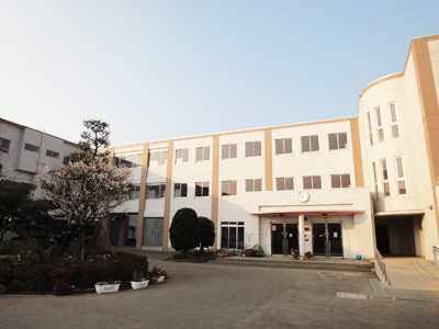 Primary school. Chigasaki City Yanagijima to elementary school (elementary school) 743m