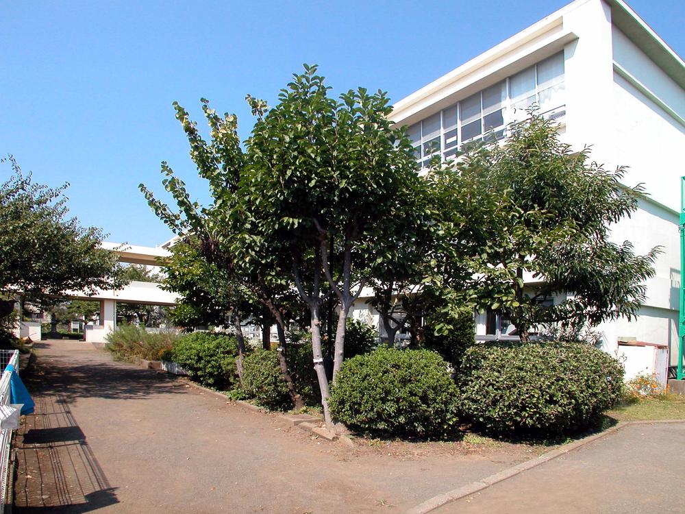 Primary school. Chigasaki City Tsurumine to elementary school 927m
