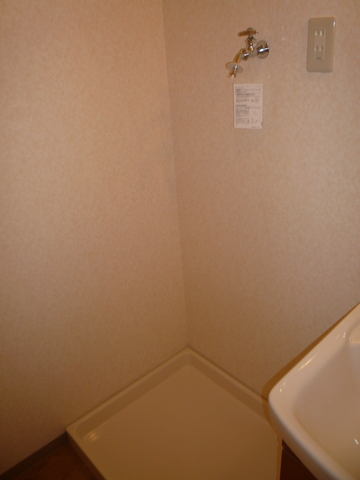 Other room space. Washing machine in the room