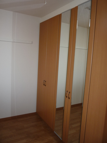 Other room space. With mirror in the closet