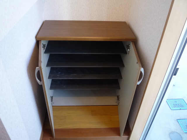 Other room space. Shoe box